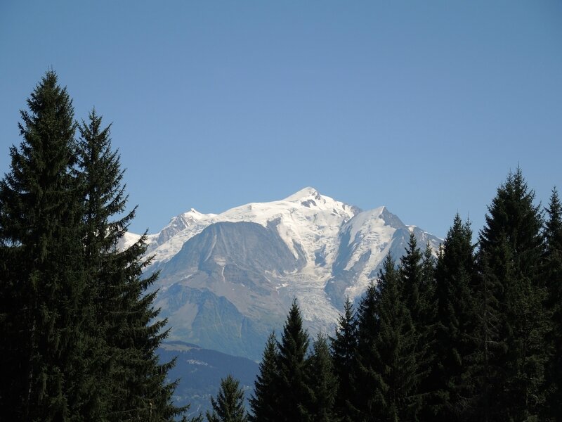 Cordon, randonnée belvédère, Mont Blanc et sapins (74)