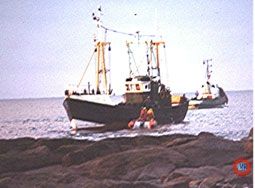 de-zeespigel1