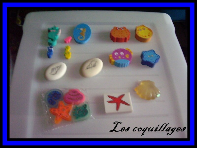 coquillages 1