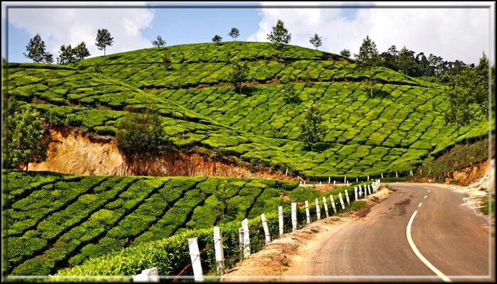 INDE