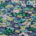 Thorpe Limon (bracelet uniquement)