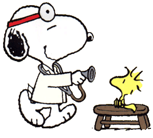 ch01_image04snoopy_doctor