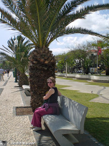 9060_Promenade_front_de_mer