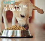 Dossier aliments chiens PM289