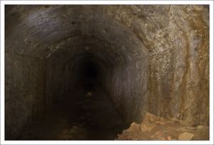 DSNE_chauve_souris_spot_1_souterrain_vue__230110