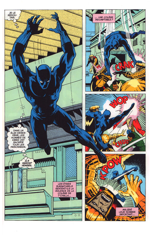 vintage black panther le monde va disparaître a