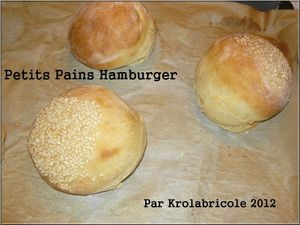 Pain Hamburger_120419