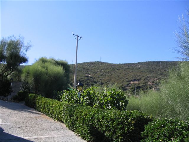 Bordighera Bergon P