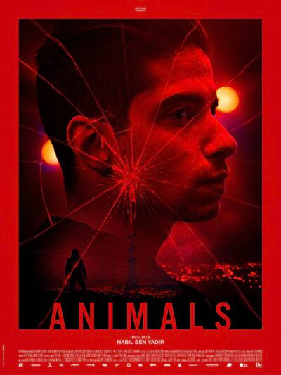 animals-affiche-low-400x533