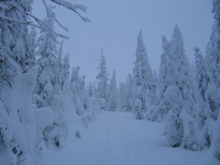 Québec Février 2012 198