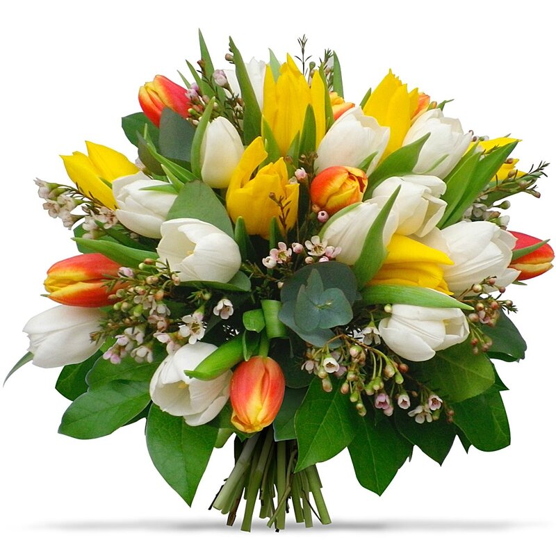 bouquet-rond-100-tulipes-jaune-blanc-bicolore_22382