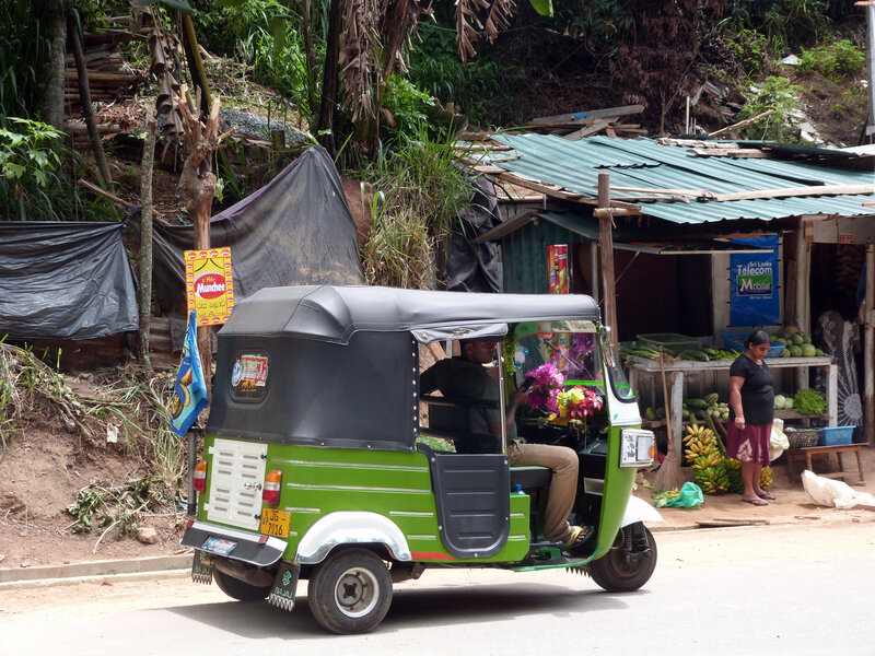 Sri Lanka 6