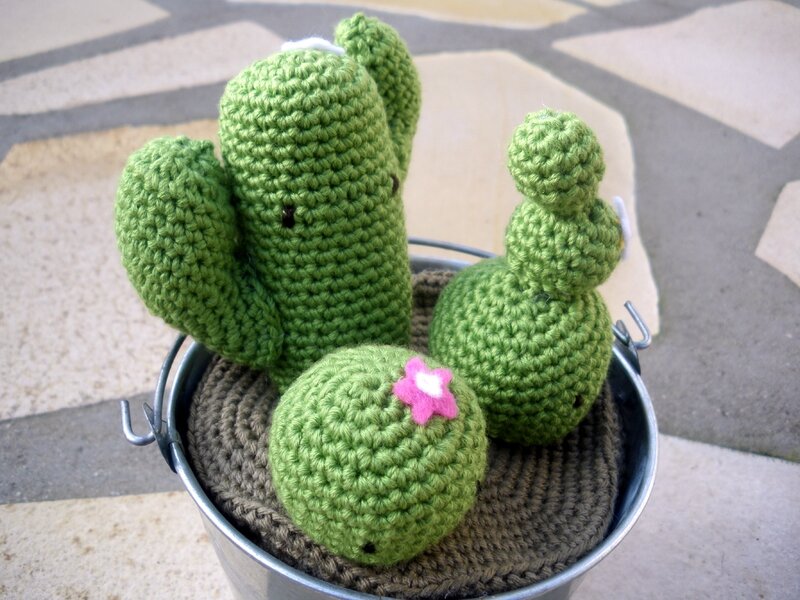 Cactus crochet (10)