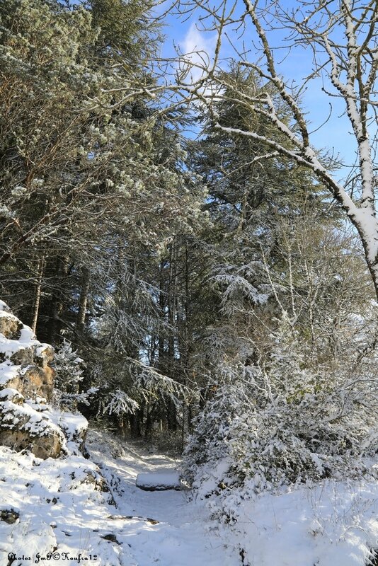 Photos JMP©Koufra 12 - Le Caylar - 01122017 - 094