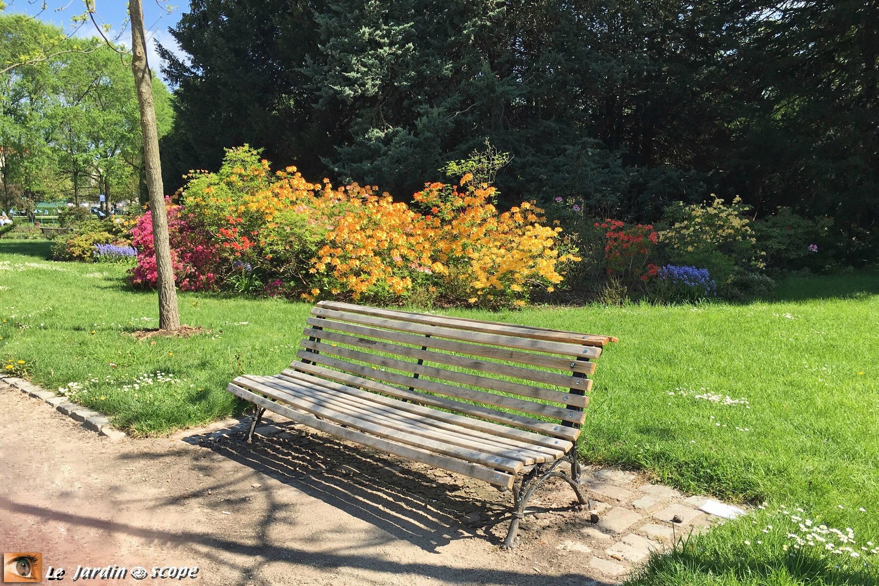 Banc dans le Parc de la Pépinière à Nancy