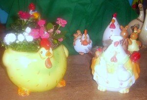 nouvelles_poules