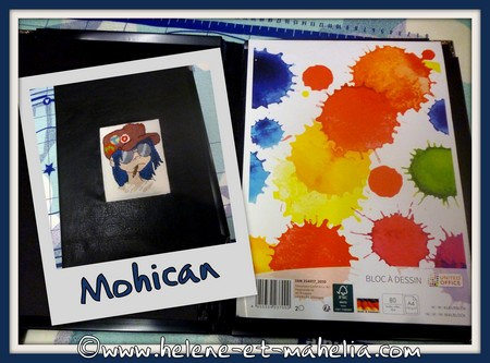 mohican