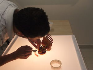 DSCF0124