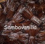 sambavanilla