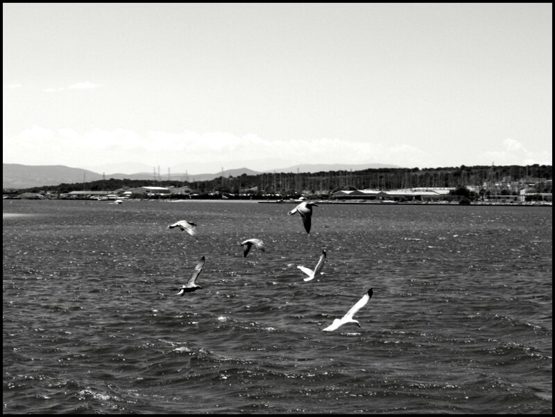 P1460241-003