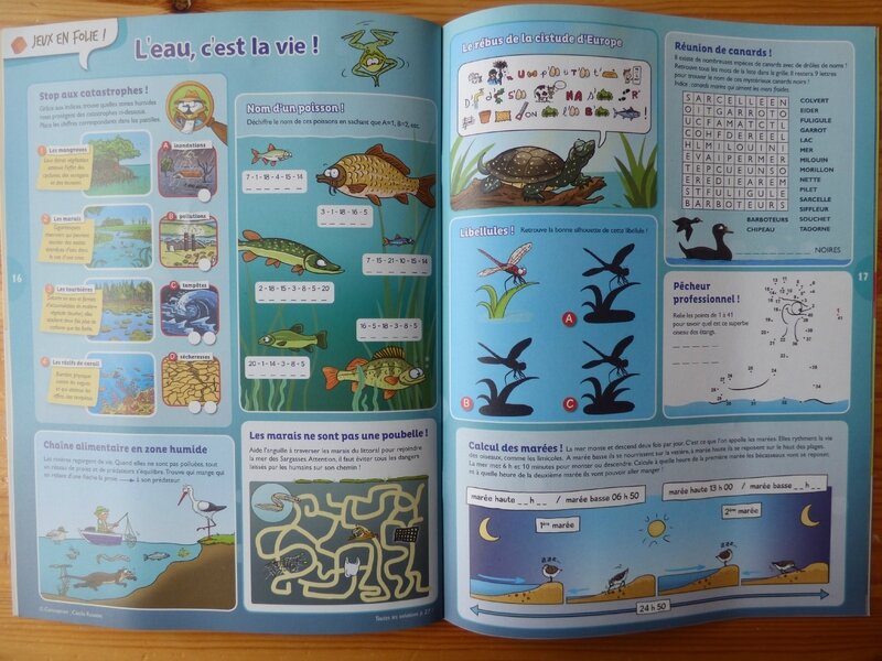 L'oiseau mag Jr (4)