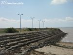 Noirmoutier_samedi_13_sept_08_004