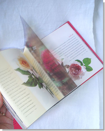 pages_aux_roses