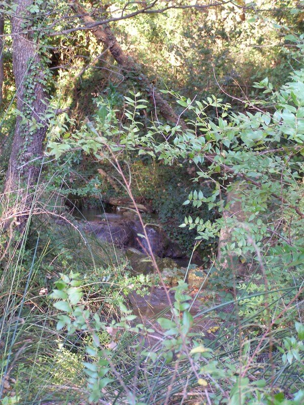 Petit ruisseau