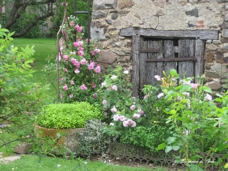 Rosiers porte