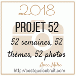 projet-52-mini