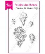 matrice-de-coupe-scrapbooking-carterie-nature-arbre-feuilles-de-chene