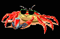 crabes006_1_