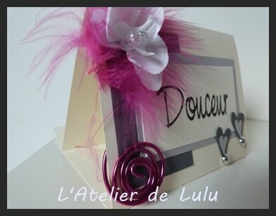 marque place orchidee plumes
