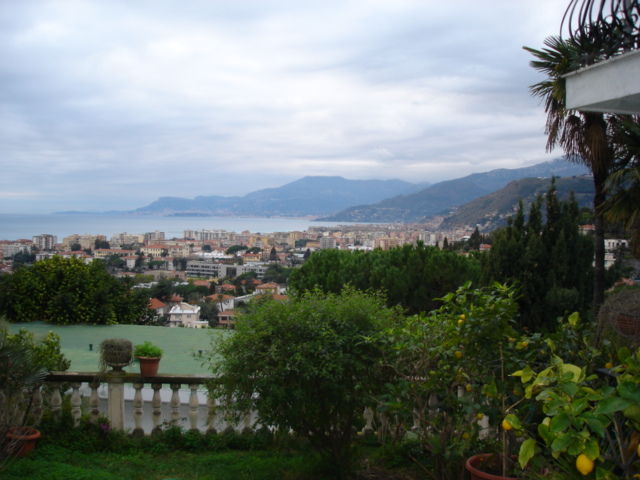 DSC01081