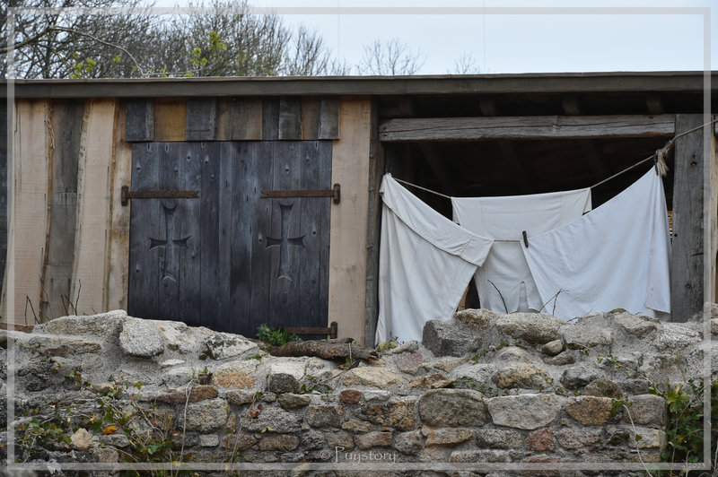 PUY_9335