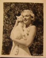 1951-08-MM_in_white_dress-studio_Fox-AYAYF-with_cat_Pinky-010-1Fox