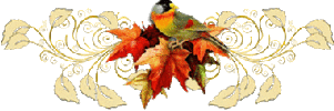 Gif barre oiseau sur feuillage automne a droite 320 pixels