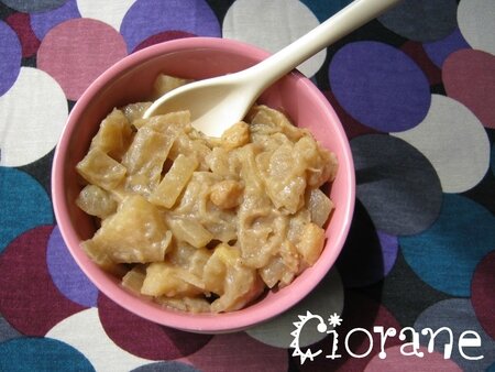 chutney-pomme-oignon-speculoos