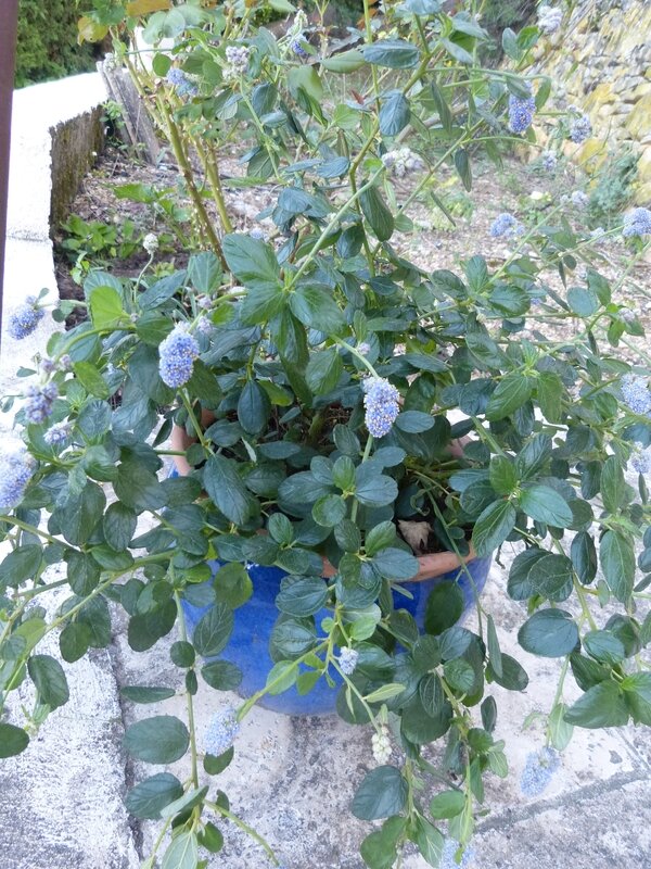P1230071