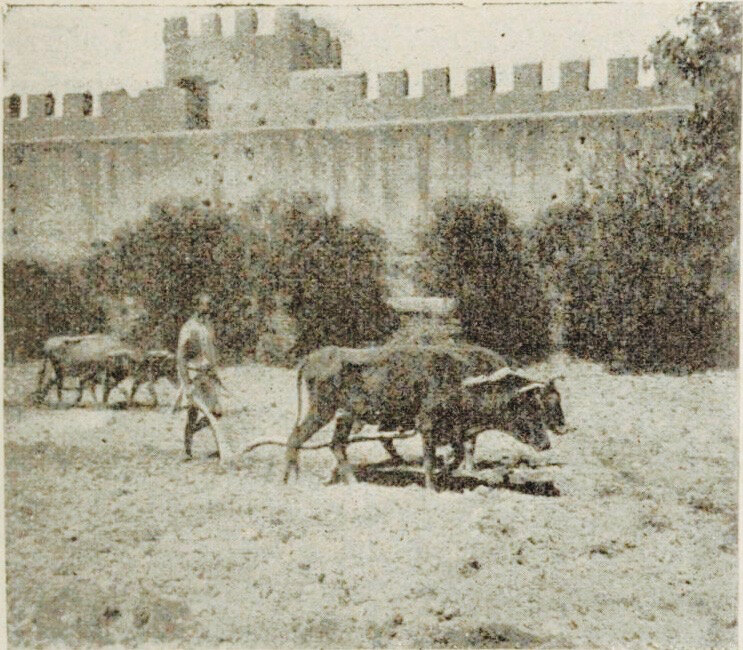 Laboureur-Soussi-Taroudant-1911
