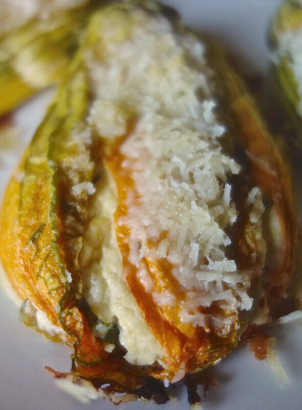 fleur de courgette farcie