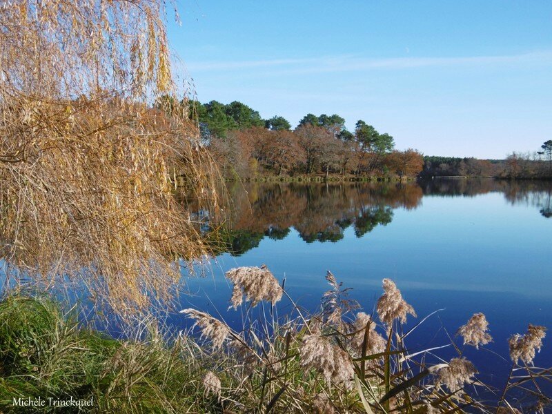 Etang d'Uza 061216