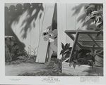 belle_clochard_photo_us_1955_04