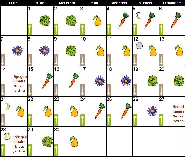 calendrier-lunaire-jardinage-septembre2015-jardiner-avec-la-lune