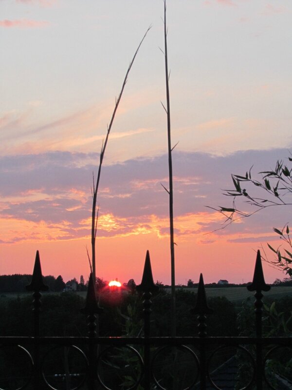 IMG_0005 - Copie