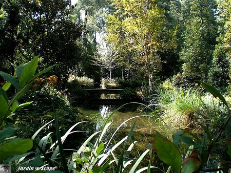 7409_Les_Mauves