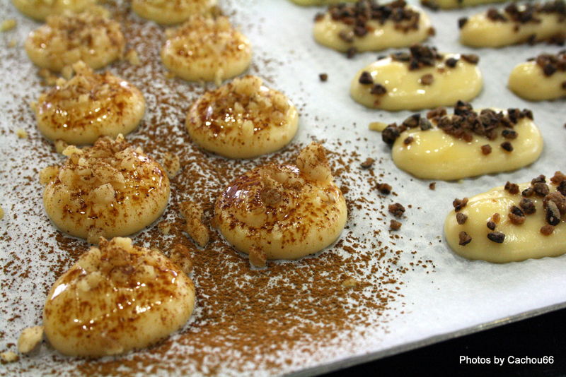 Les petits fours frais 09-05-09 (14)