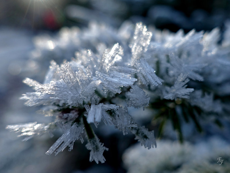 2018_12_27_givre