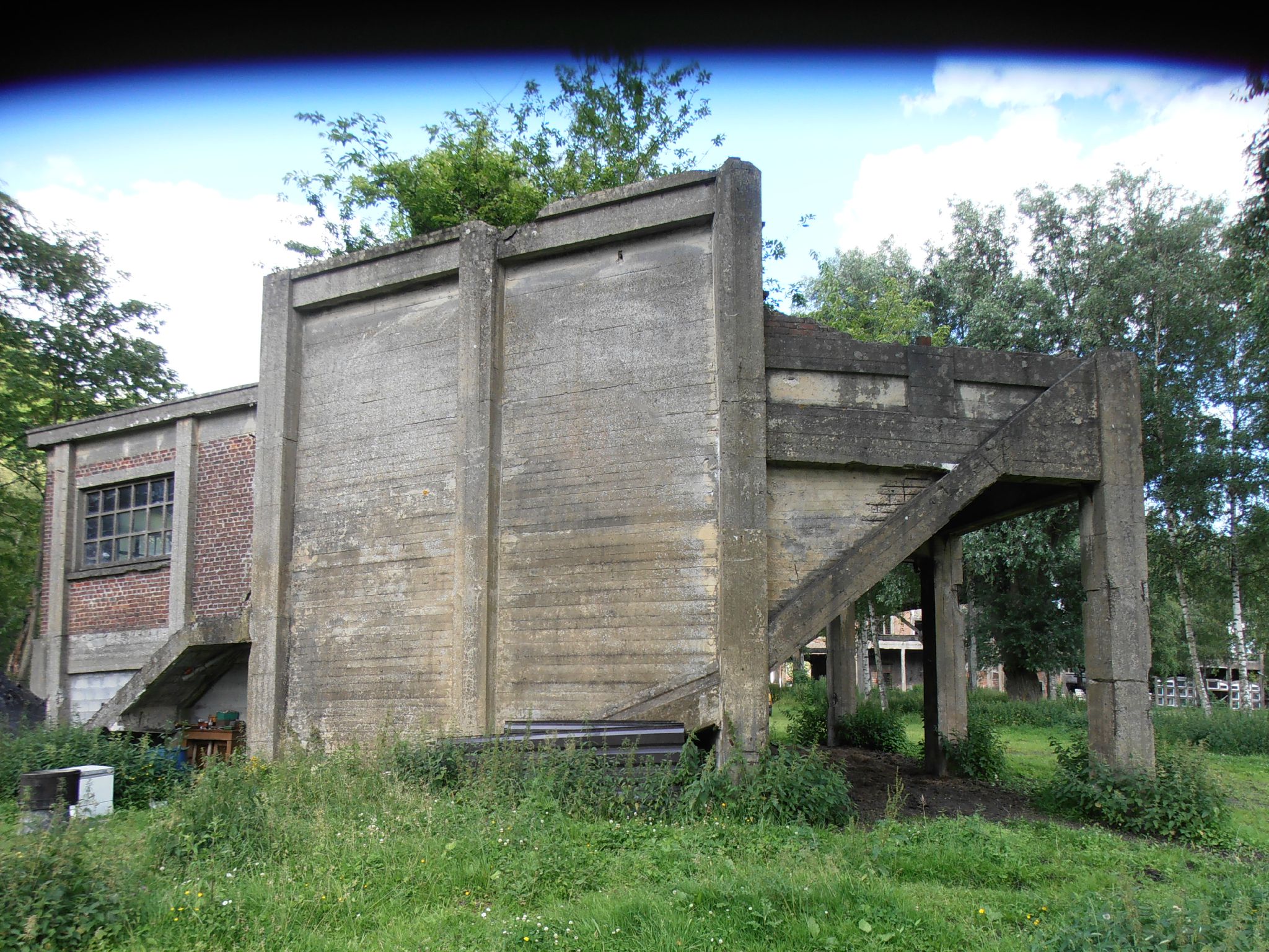 Marcasse - Triage 20120702_49