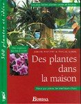 Des_plantes_dans_la_maison